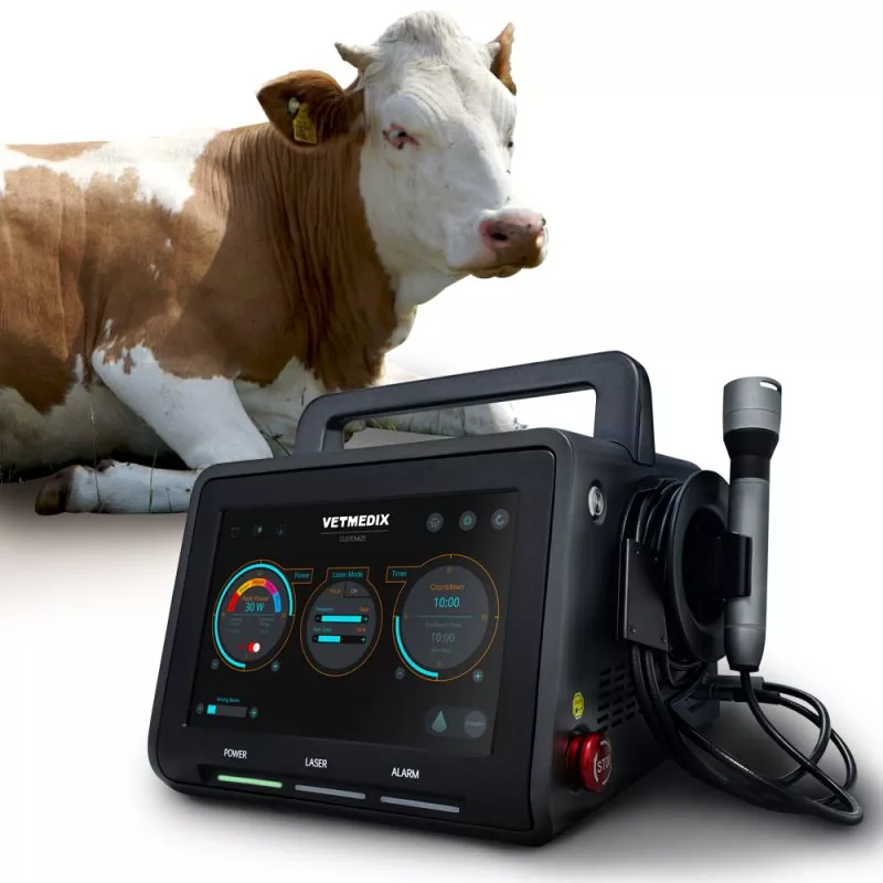The Clinical Application of Veterinary Laser Therapy: A Comprehensive Guide